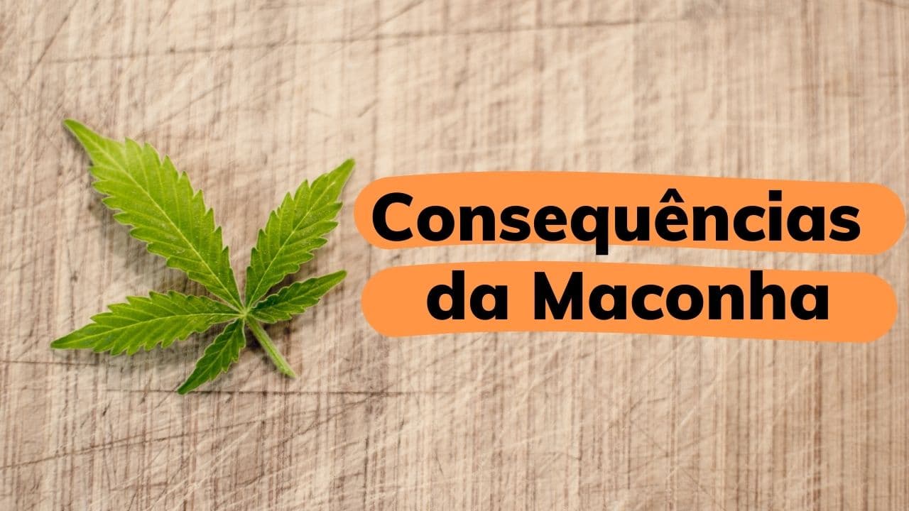 As reais consequências da maconha